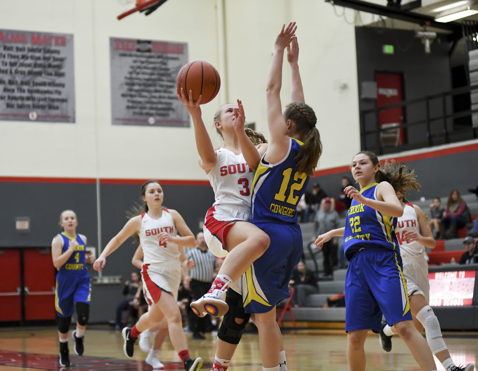 Gallery: SAHS vs Crook County 04